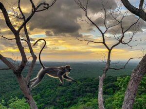 sathyamangalam-best-travel-agency-in-kochi