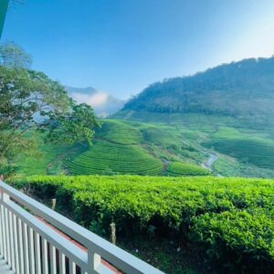 Munnar-resort-best-travel-agency-in-kochi
