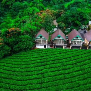 premium-resort-best-travel-agency-in-kochi