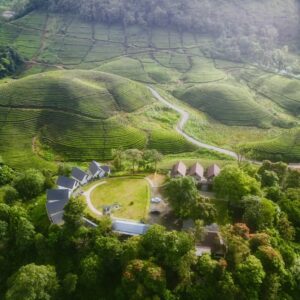 munnar-stay-best-travel-agency-in-kochi