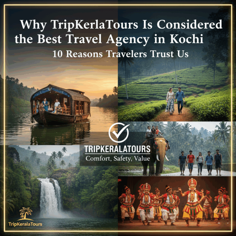 Best Travel Agency in Kochi – 10 Reasons to Choose TripKeralaTours