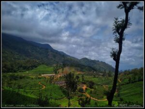 hillstation-best-travel-agency-in-kochi