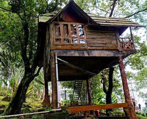 tree-house-with-best-travel-agency-in-kochi